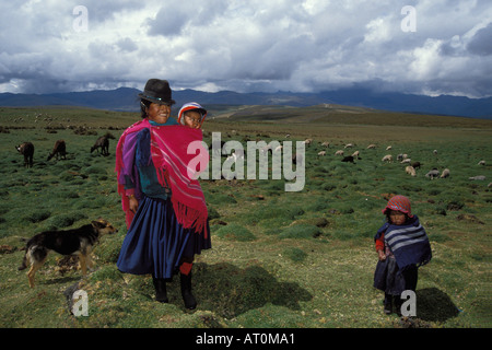 Jeune autochtone mère d'Amérique du Sud avec ses deux enfants et un chien de berger dans les montagnes des Andes Equateur Amérique du Sud Banque D'Images