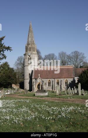 Perce-neige dans l'église de cour St Gregory s à côté de Welford Park Banque D'Images