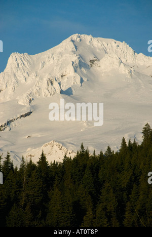 Mt. Des bois au coucher du soleil, l'hiver, 11 237 pieds de haut. Des Cascades en Oregon, USA Banque D'Images