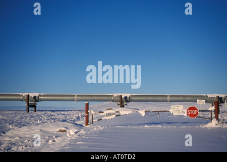 L'accès aux pipelines de l'Alaska et de la route située sur le versant nord de la Brooks Range couverts de neige de la toundra arctique de l'Alaska central Banque D'Images