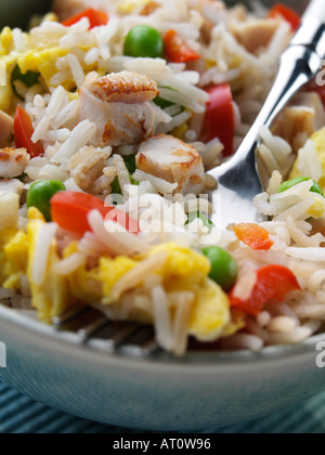 Riz frit à l'oeuf de poulet spécial Banque D'Images