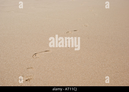 Empreintes sur la plage viennent vers l'appareil photo Banque D'Images