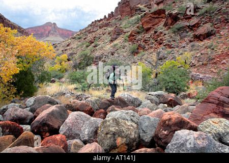 BACKPACKER FEMELLE BUSHWHACKING ET SAUTS DE BOULDER DANS LE CANYON DU RUISSEAU CLAIR profondément dans GRAND CANYON GRAND CANYON NAT Banque D'Images