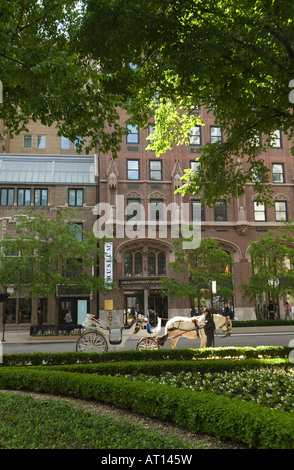 Chicago Illinois cheval et chariot s'est arrêté sur la rue à côté de la tour de l'eau Parc arbres et plantes dans des espaces verts de la ville Banque D'Images