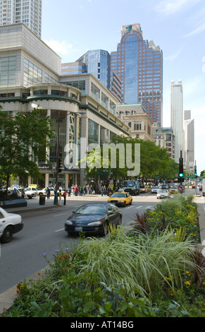 Chicago Illinois Herbes et plantes en médiane de la circulation sur l'Avenue Michigan street magasins de détail et les tours d'habitation au centre-ville Banque D'Images