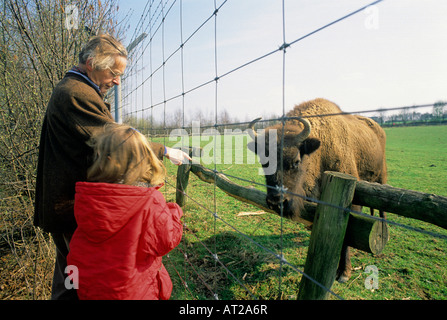 Grand-père et sa petite-fille à la recherche de bisons sur l'Allemagne Banque D'Images