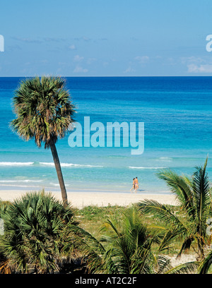 Varadero Cuba Caraïbes. Couple walking on tropical beach avec palmier Banque D'Images