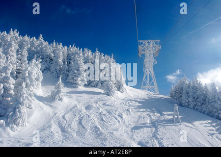 Paysage d'hiver à partir d'un cable car Banque D'Images