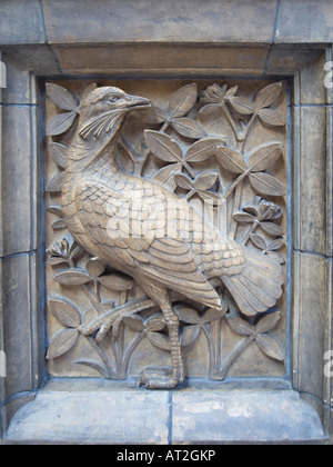 Sculpture complexe d'un grand oiseau de Bustard (Otis tarda) à l'intérieur du Waterhouse Building au Natural History Museum, Londres Banque D'Images