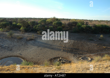 Zebra à l'eau sur des Boteti river Meno a Kwena au Botswana Afrique du Sud Banque D'Images