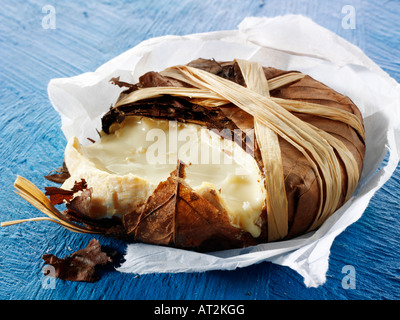 Bannon français fromage de chèvre mou de la Provence dans les feuilles sur un fond bleu Banque D'Images