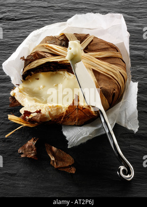 Bannon français fromage de chèvre mou dans les feuilles sur un fond noir. Provence Banque D'Images