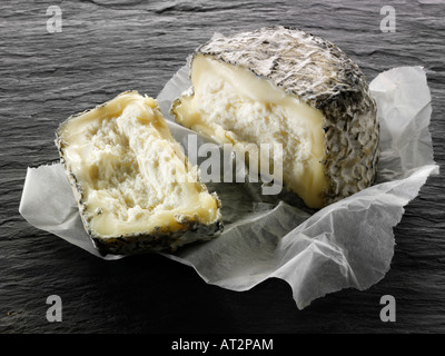 Les agriculteurs français, des fromages de chèvre coupé sur un fond noir. Normandie Banque D'Images