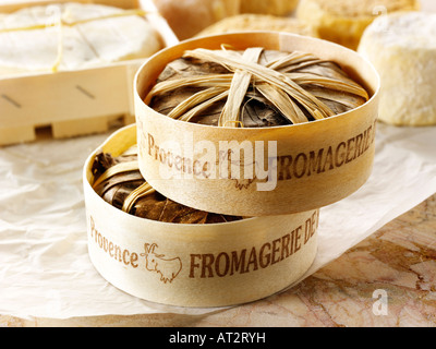 Bannon français fromage de chèvre mou de la Provence dans les feuilles dans une fromagerie. Banque D'Images