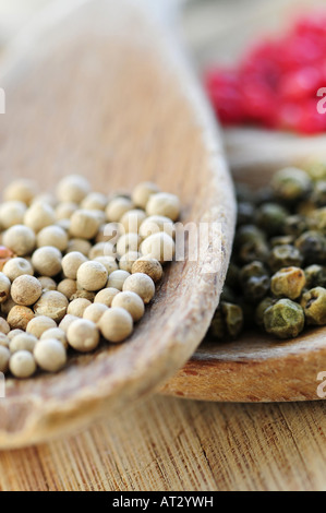 Différents types de grains de poivre dans la cuisine en bois macro cuillères Banque D'Images