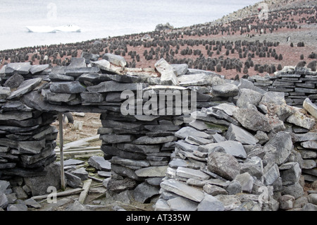 Adelie Penguin dans l'Antarctique Banque D'Images