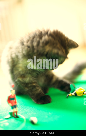 Un chaton jouant un match de football de jouets Banque D'Images