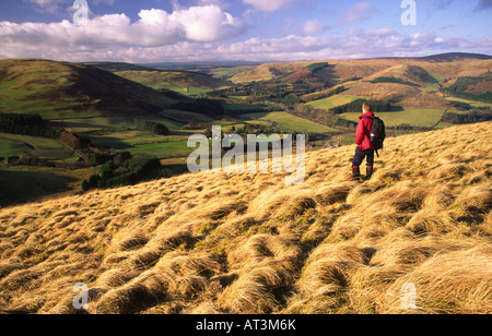 La randonnée d'hiver Eskdale hill Walker à l'Esk Valley du côté de Craig Hill près de Langholm Dumfries et Gallowa Banque D'Images