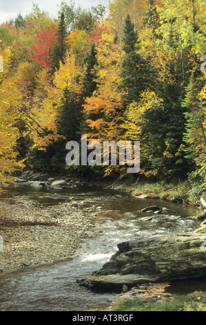 Bel Automne Automne Couleurs d'être trouvés sur les pentes de la montagnes de Sibillini dans les Marches, Italie Banque D'Images