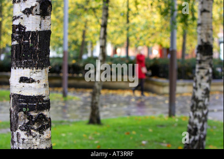Femme en manteau rouge sur téléphone mobile marche sur trottoir à travers bouleaux en automne, quartier de la cathédrale dans le centre-ville de Belfast Banque D'Images