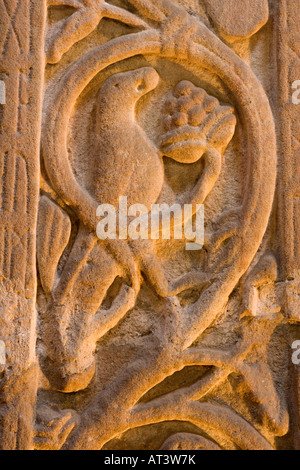 Croix de Ruthwell près d'Annan est un 8ème centuary Anglo saxon cross sculptés dans l'église de Ruthwell style Northumbrian Scotland UK Banque D'Images