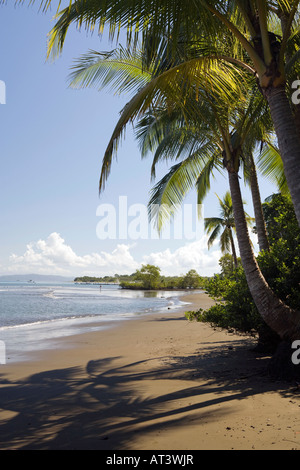 Costa Rica Péninsule d'Osa Puerto Jimenez public palmiers beach Banque D'Images
