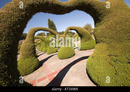 Costa Rica Zarcero Parque Francesco Alvarado park topiary par Evangelisto Blanco à l'avant et à l'église Iglesia de San Rafael Banque D'Images