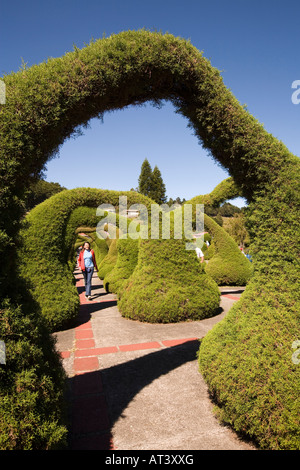 Costa Rica Zarcero Parque Francesco Alvarado park topiary par Evangelisto Blanco à l'avant et à l'église Iglesia de San Rafael Banque D'Images