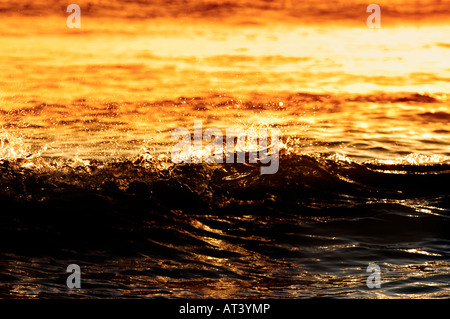 Soirée coucher de soleil sur Delray public Beach Florida avec un éclat de soleil doré se reflétant sur les vagues de l'océan. Autoroute A1A N Ocean Blvd. Plages écologiques et océans biodivers. Banque D'Images