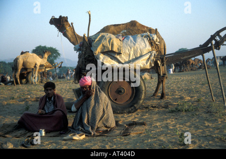 Les hommes avec leurs chameaux à l'Inde Pushkar fair Camel Banque D'Images