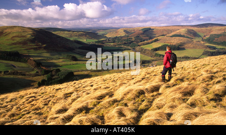 La randonnée d'hiver Eskdale hill Walker à l'Esk Valley du côté de Craig Hill près de Langholm Scotland UK Banque D'Images