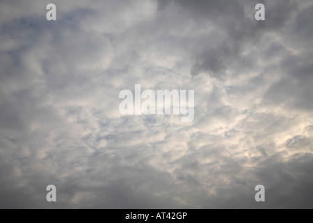 L'Altocumulus perlucidus. La masse de nuages blanc cassé avec un peu de bleu montrant à travers les lacunes ourlé de nuages gris Banque D'Images