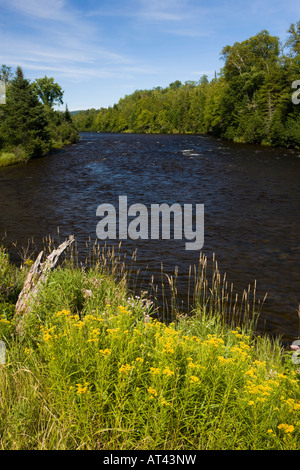 La rivière Connecticut à Pittsburg, New Hampshire. Banque D'Images