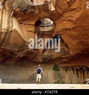 Géographie / voyages, USA, Utah, Grand Staircase Escalante, Trou-dans-le-rock Road, Neon Canyon, Cathédrale d'Or, l'homme terre d'affichage Banque D'Images