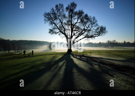 Tôt le matin les golfeurs à Beckenham Place Park, Lewisham Banque D'Images