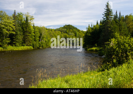 La rivière Connecticut à Pittsburg, New Hampshire. Banque D'Images