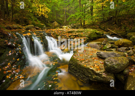 Un affluent de la rivière Baker cascade à travers une forêt de pruche à Groton, New Hampshire. Groton creux. De l'automne. Banque D'Images