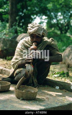 Cobra commun, Indienne (Naja naja), avec snake-charmer Banque D'Images