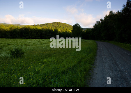 Un champ dans le vert des montagnes. Eden, Vermont. Banque D'Images