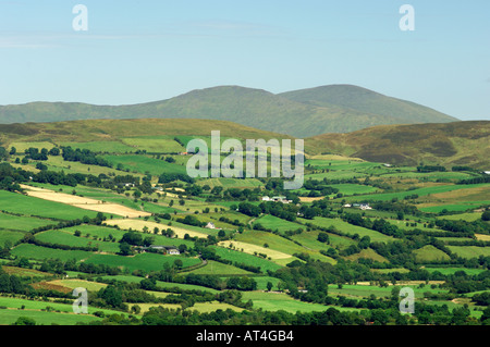 Montagnes Sperrin, comté Tyrone, Irlande du Nord. Au nord-est sur les terres agricoles de la vallée de la rivière Owenkillew à Sawel Mountain. Banque D'Images