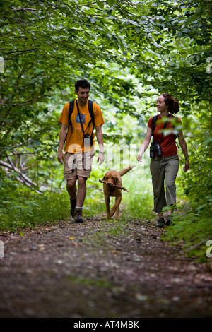 La randonnée sur la longue route de montagnes Vertes du Vermont. Eden, Vermont. Banque D'Images