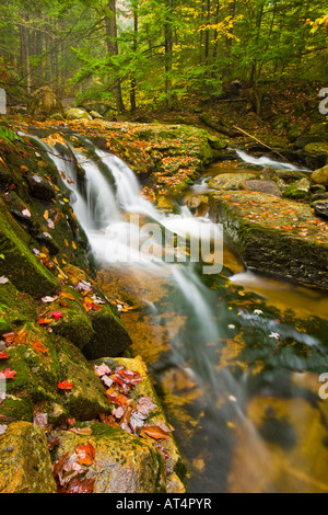 Un affluent de la rivière Baker cascade à travers une forêt de pruche à Groton, New Hampshire. Groton creux. De l'automne. Banque D'Images
