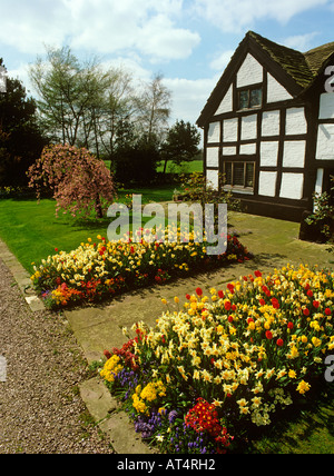 UK Cheshire Alderley Edge Hayman Chambre Chalet jardin coloré au printemps Banque D'Images