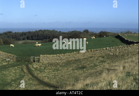 Le Cotswold Way sentier près de Broadway Tower, Worcestershire, Angleterre, RU Banque D'Images