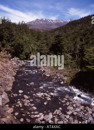 Le Mont Ruapehu lointain et le Whakapapanui River au premier plan dans Whakapapa au Parc National de Tongariro, Nouvelle-Zélande Banque D'Images
