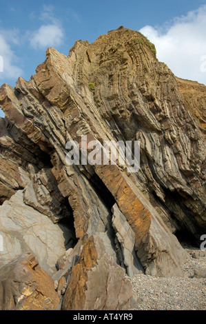 Les strates de roche verticale au point Plage de Crooklets discuter à Bude Banque D'Images
