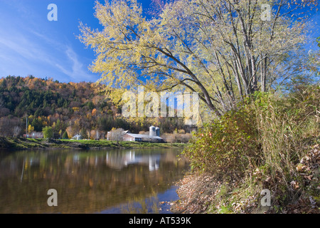 Une ferme sur la rivière Connecticut à Maidstone, Vermont. L'érable argenté. De l'automne. Banque D'Images