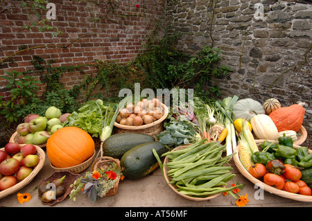Paniers de fruits et légumes frais biologiques en vente à llanerchaeron Aberaeron ceredigion Pays de Galles Banque D'Images