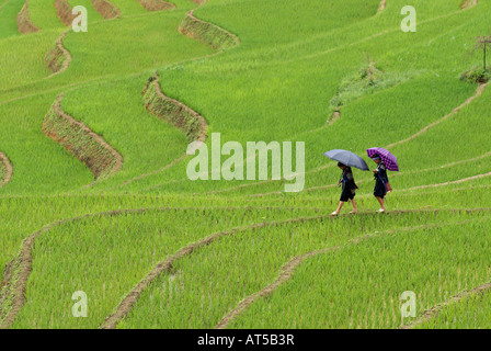 Deux filles de la minorité Hmong noirs marcher dans un champ de riz, SAPA, Vietnam Banque D'Images