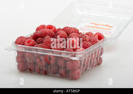 Framboises fruits dans un récipient en plastique personne isolé coupé sur fond blanc de près à l'intérieur horizontal haute résolution Banque D'Images